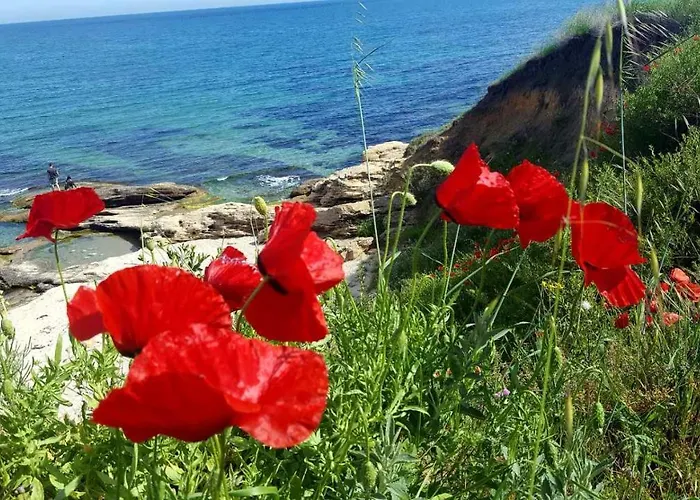 комплекс конти Rawda