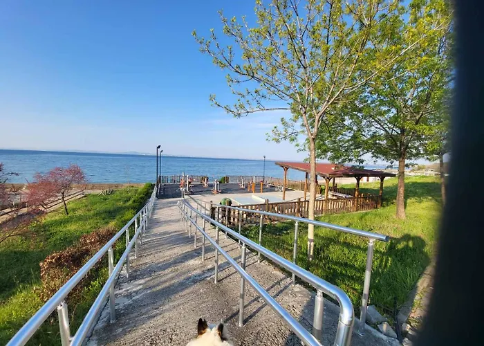 комплекс конти *