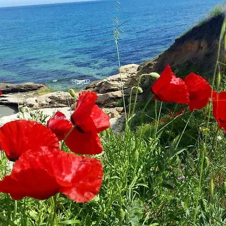 комплекс конти Ravda